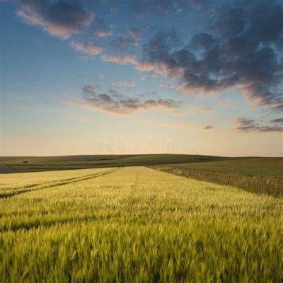  《夏日午後》(Summer Afternoon): 光影交錯的田園風光與沉靜的氛圍